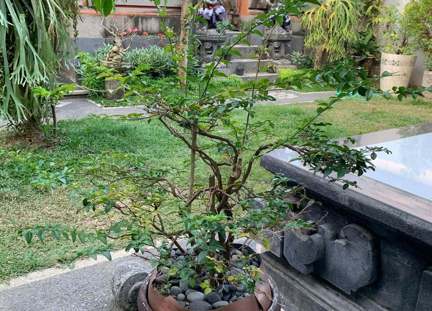 Bucu Kaja House Bed & Breakfast Ubud  0*, Ubud (Bali)